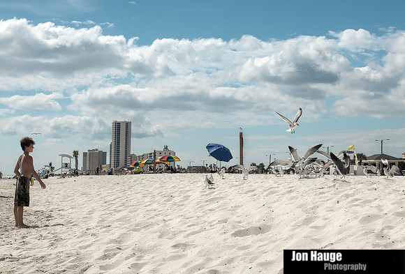 Fall in Gulf Shores