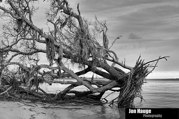 Fort Morgan Road
