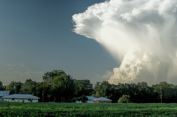 Baldwin County Photography