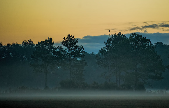 Robertsdale Sunrise