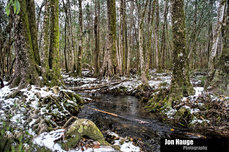 Winter Blast in Baldwin County