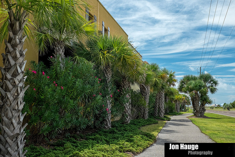 Dauphin Island Photography