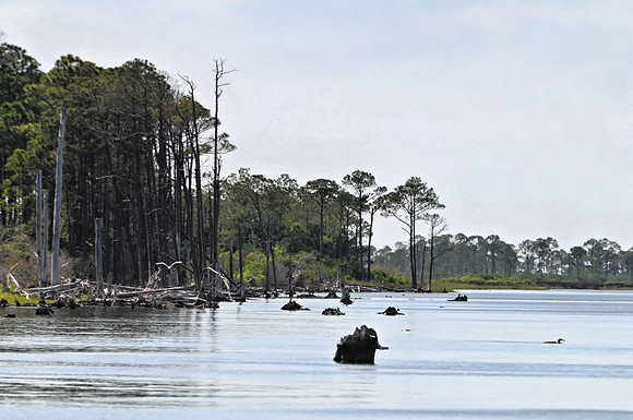 Three Rivers Shoreline