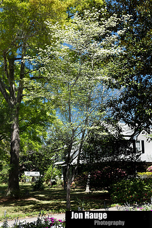 Spring in Fairhope