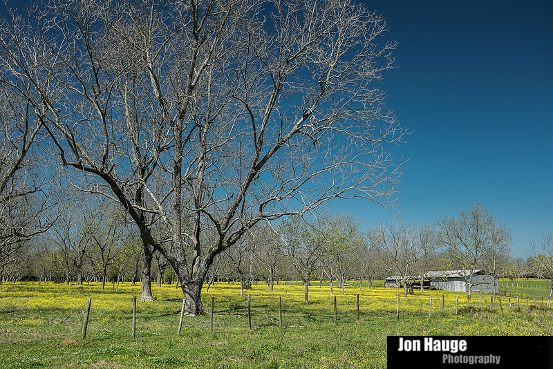 Spring in Fairhope