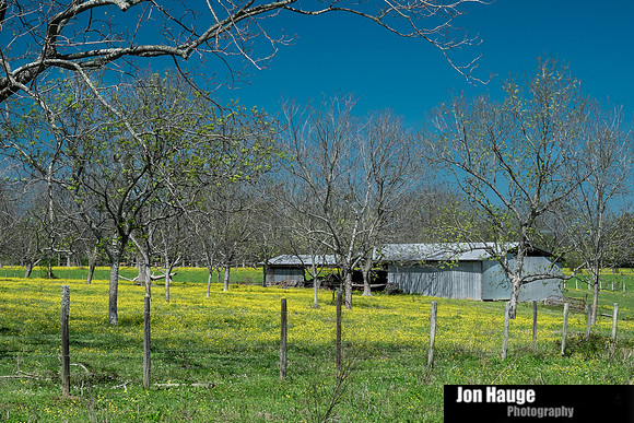 Spring in Fairhope