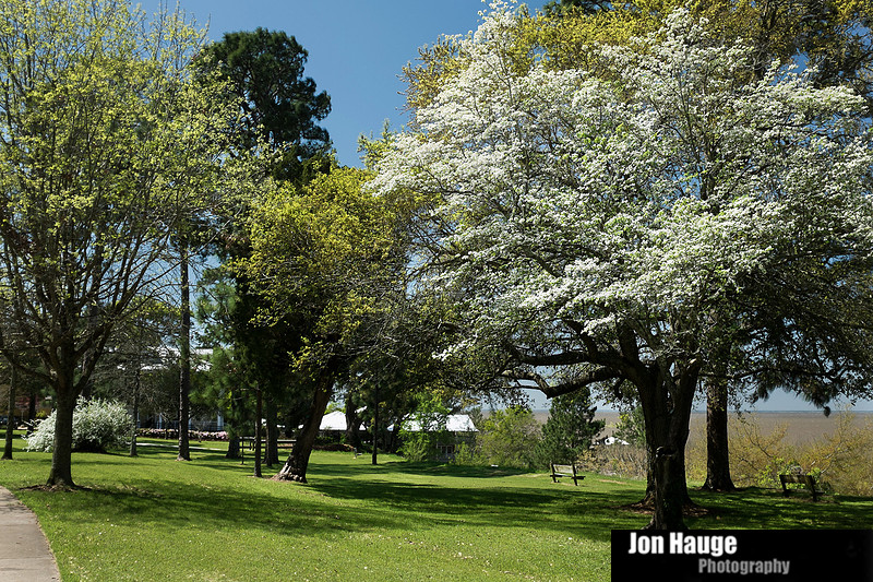 Spring in Fairhope