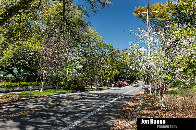 Spring in Fairhope
