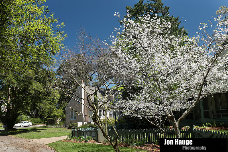 Spring in Fairhope