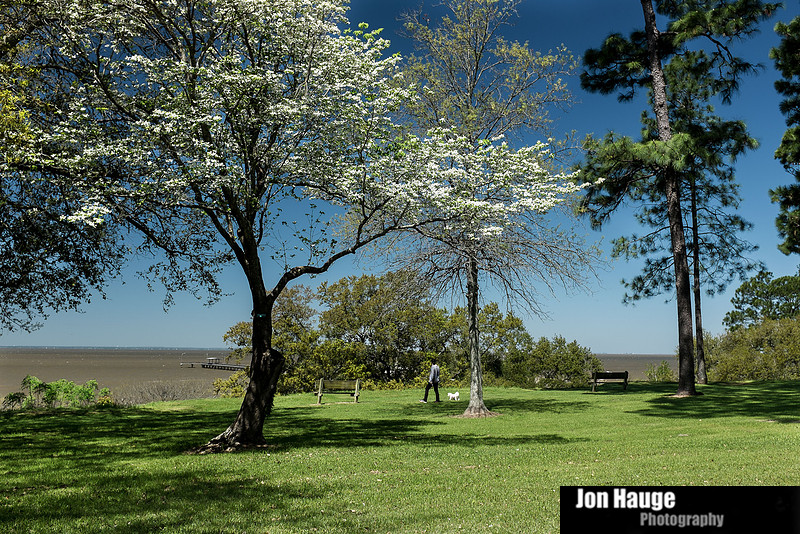 Spring in Fairhope