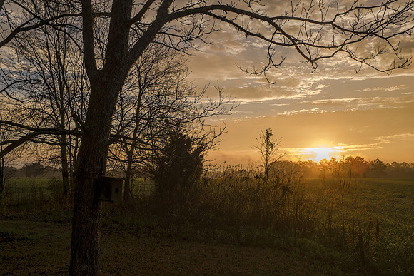 Baldwin County Sunrise