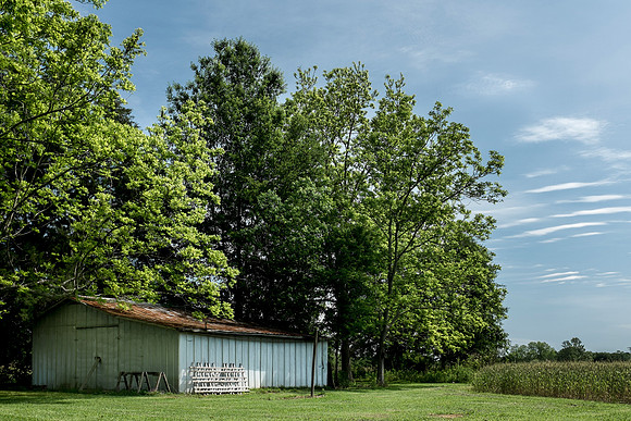 Robertsdale Photographer