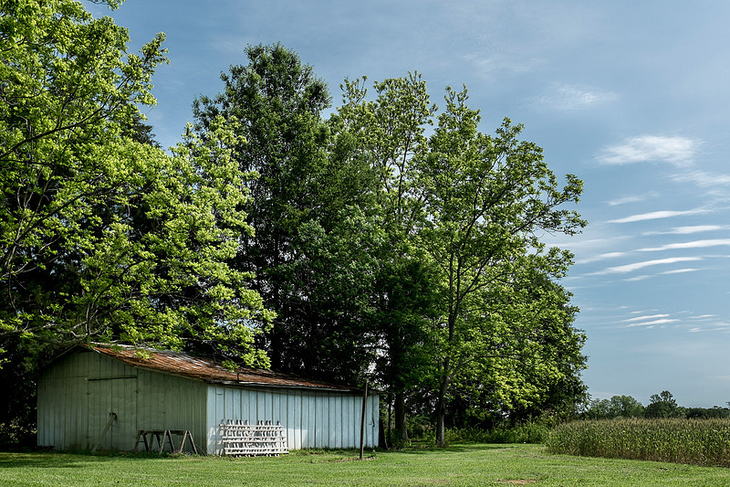 Robertsdale Photographer