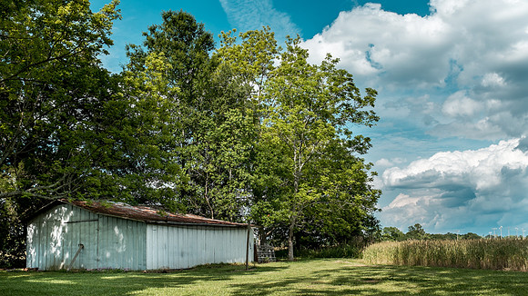 Robertsdale Photographer
