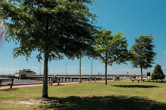 Soring in Fairhope