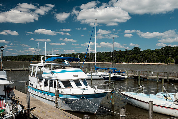 Soring in Fairhope
