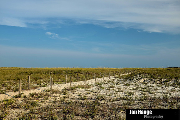 Orange Beach Photography