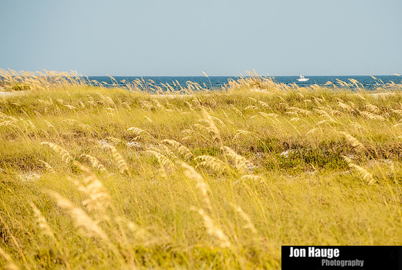 Orange Beach Photography