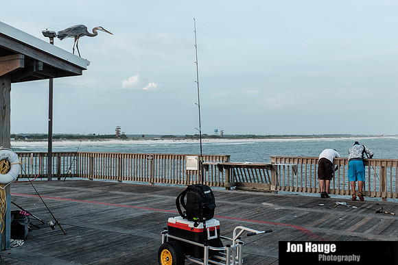People at the Pier