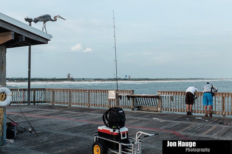 People at the Pier