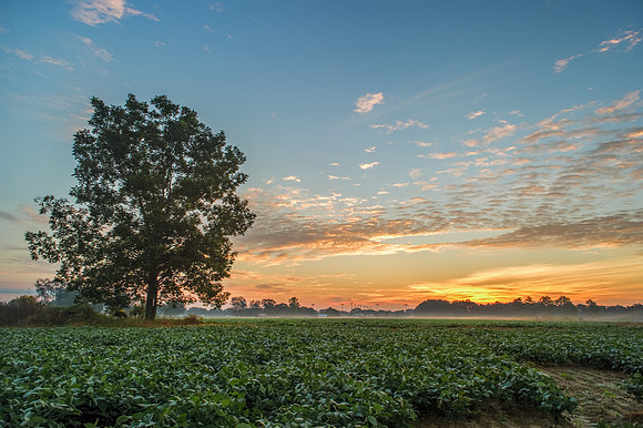 Robertsdale Photography