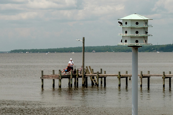 Fairhope Purple Martins