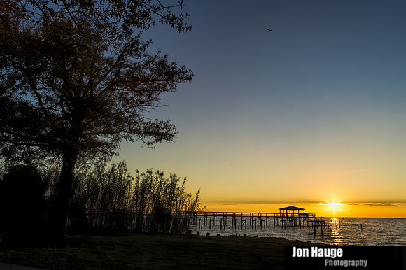 Fairhope Photographer