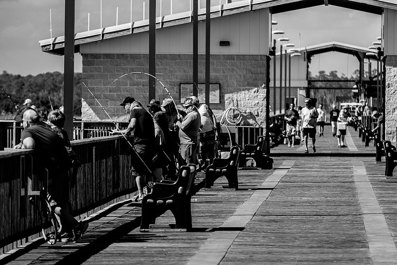 Fishing at the Pier