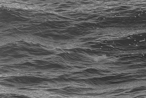 Gulf State Park Photography