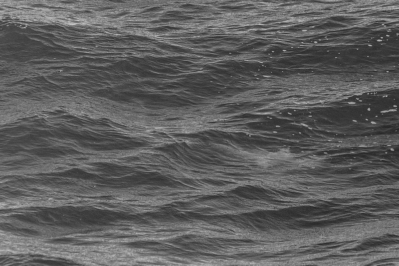 Gulf State Park Photography