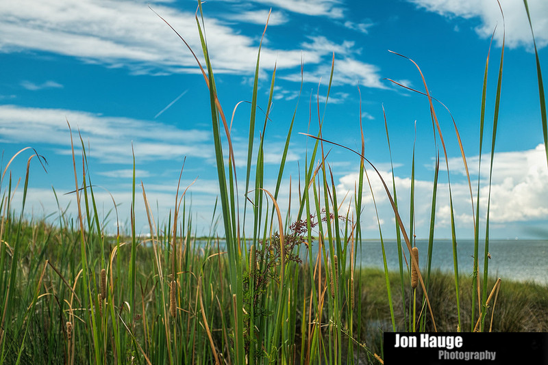Dauphin Island Photographer