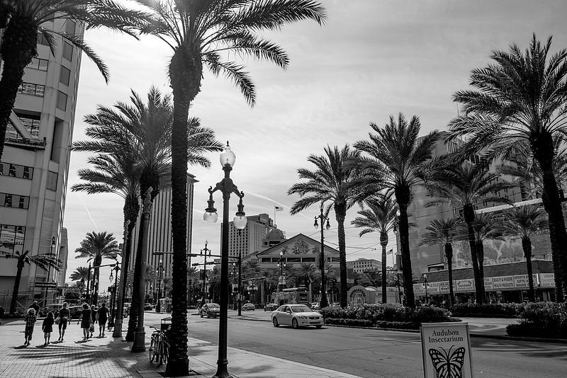 New Orleans Canal Street