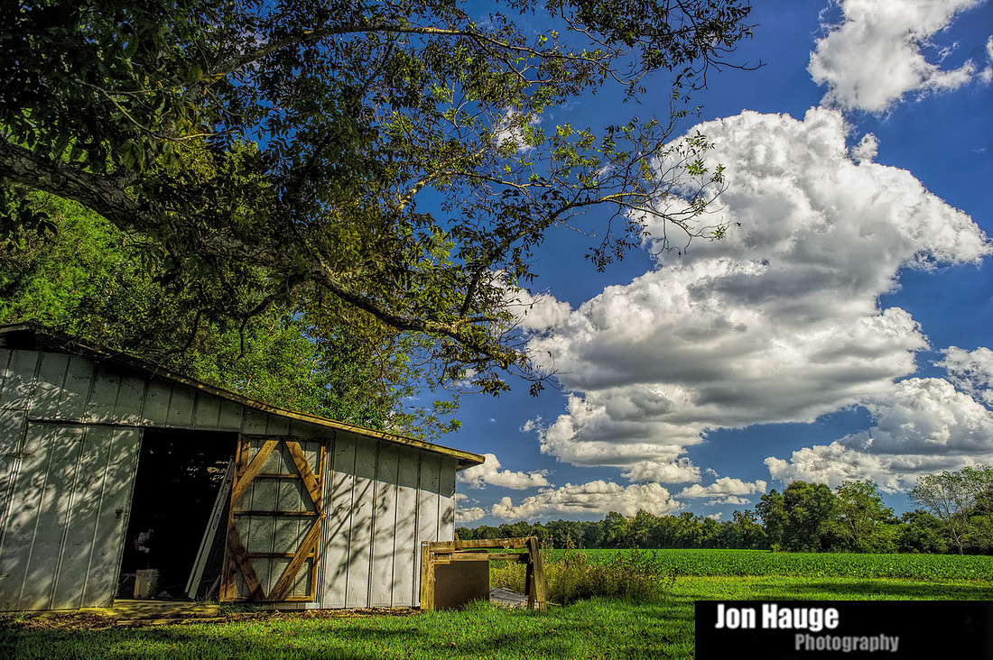 Baldwin County Photography