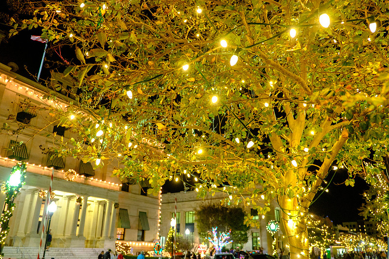Gallery Night at Christmas
