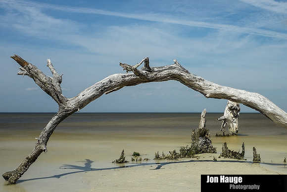 Photographer in Gulf Shores