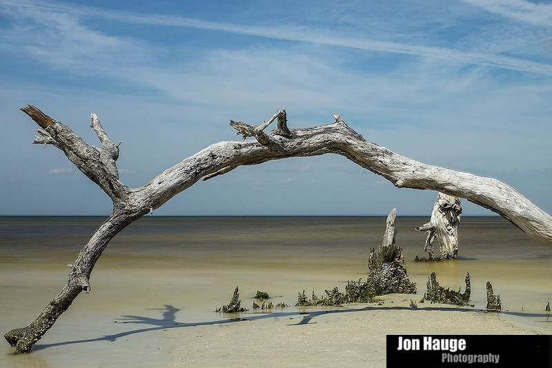 Photographer in Gulf Shores