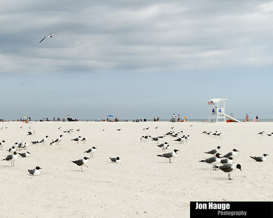 Gulf Shores April 19,2012