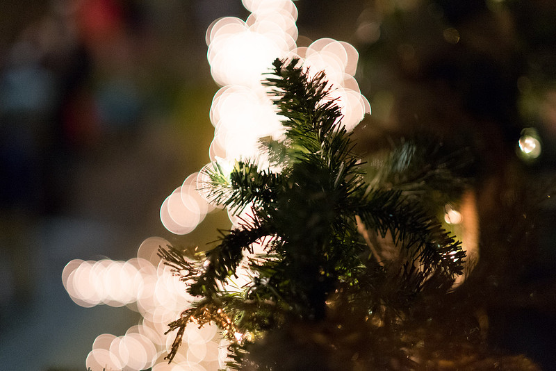 Fairhope Christmas Parade