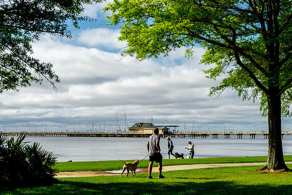 Fairhope Photography