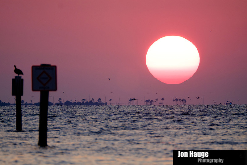 Fort Morgan Photographer