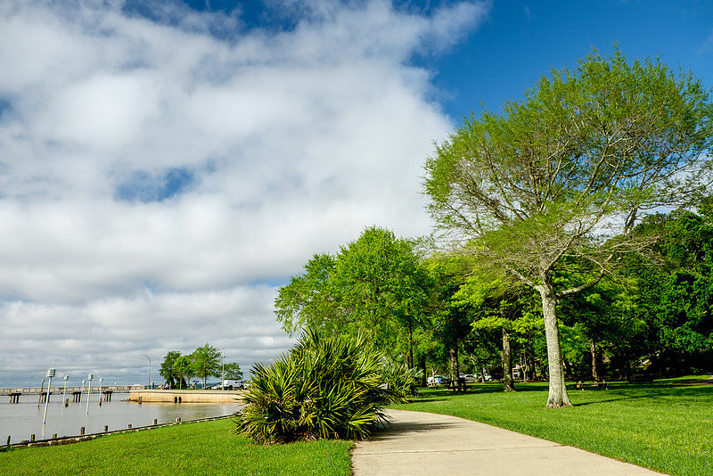 Fairhope Photography
