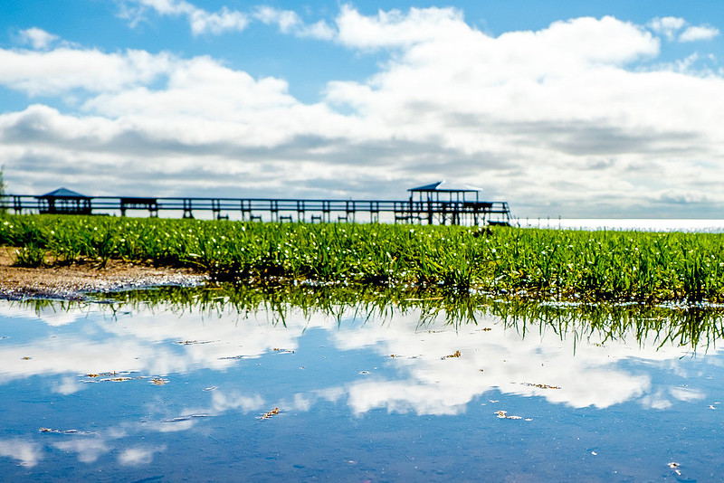 Fairhope Photography