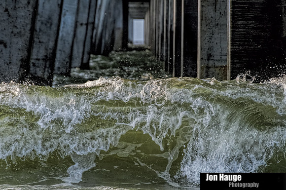 Gulf Shores Photographer