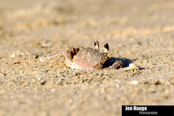 Fort Morgan Photographer