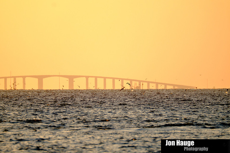 Fort Morgan Photographer
