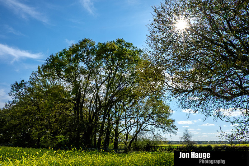 Foley Landscape