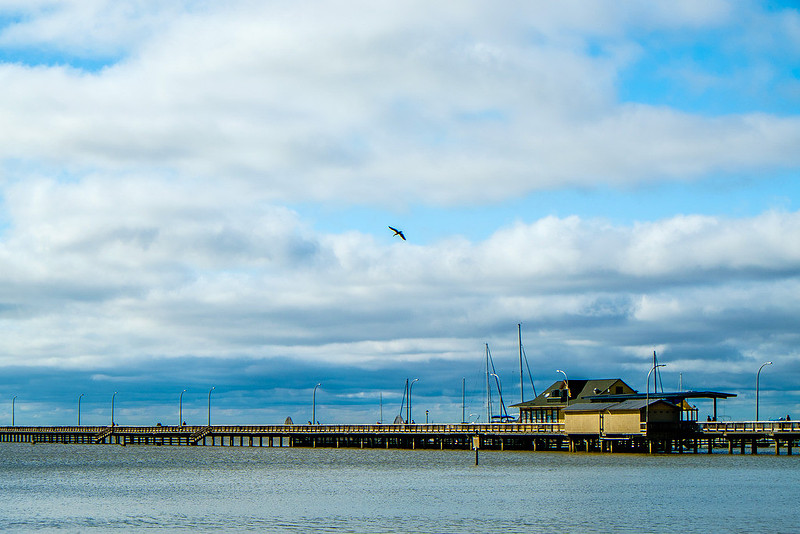 Fairhope Photography