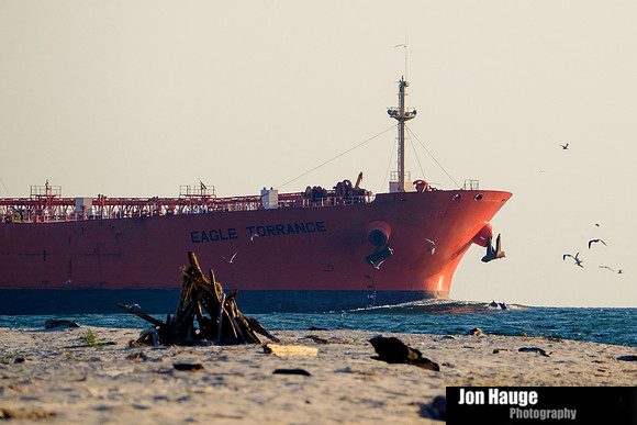 Fort Morgan Photographer