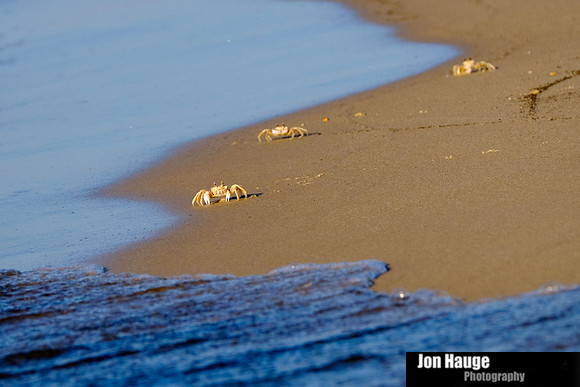 Fort Morgan Photographer