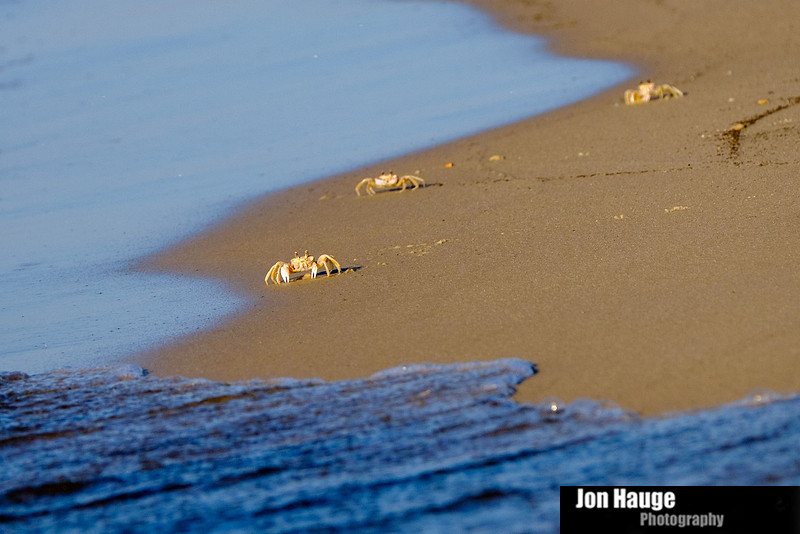 Fort Morgan Photographer